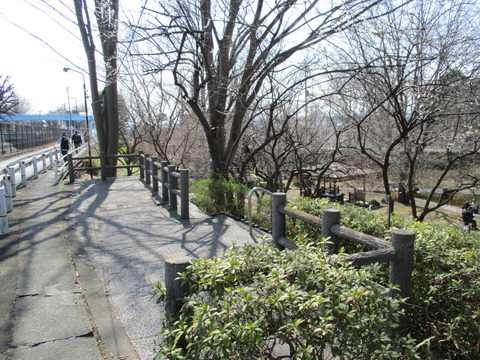 91中福生公園1