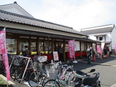 157ひなの里1