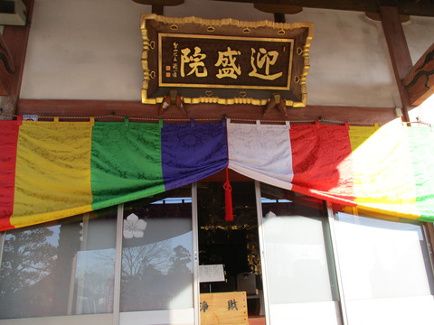 14迎盛院10