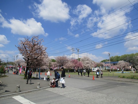 45天平の丘公園2