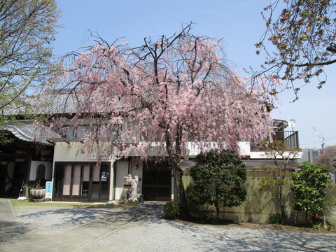 89妙建寺18