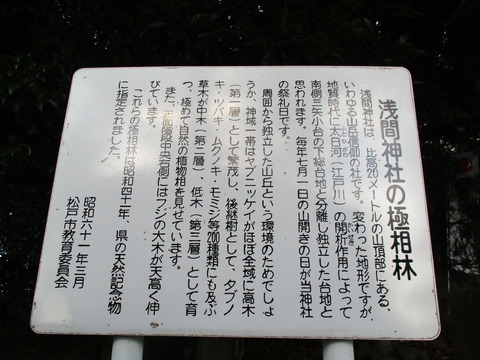 147極相林説明板