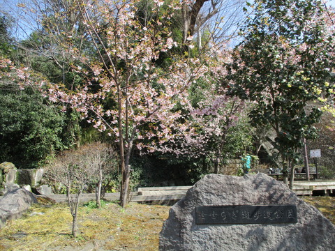 132せせらぎ遊歩道公園5