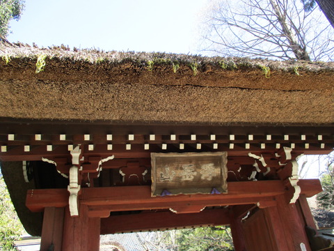 50山門2