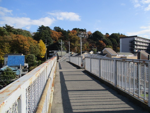 126歩道橋2