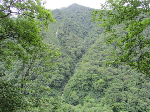 75遠くの沢