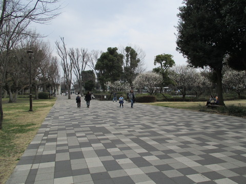 134郷土の森公園1