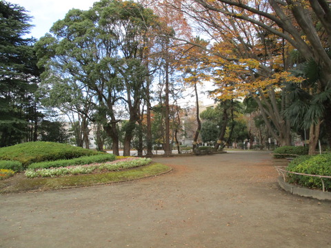 208松戸中央公園5