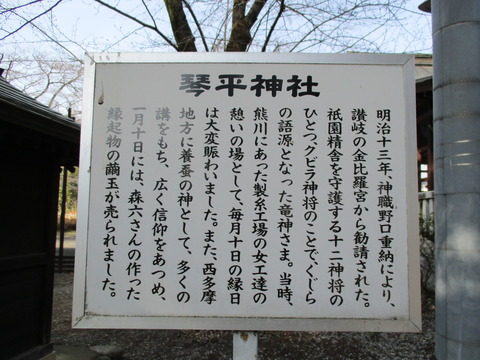 165琴平神社2