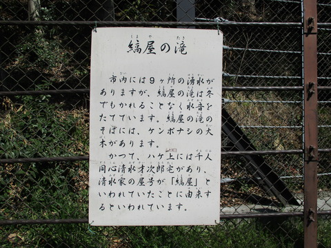 111縞屋の滝2