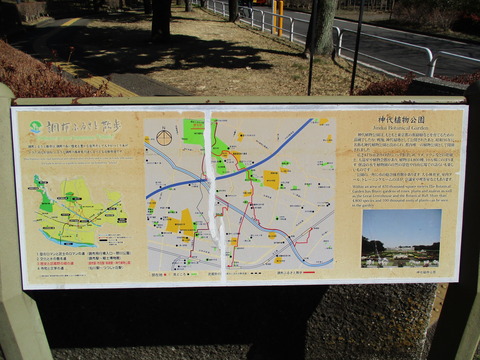 31公園広場2