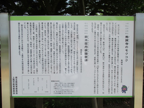 42馬蹄寺12