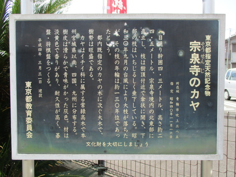 100宗泉寺2