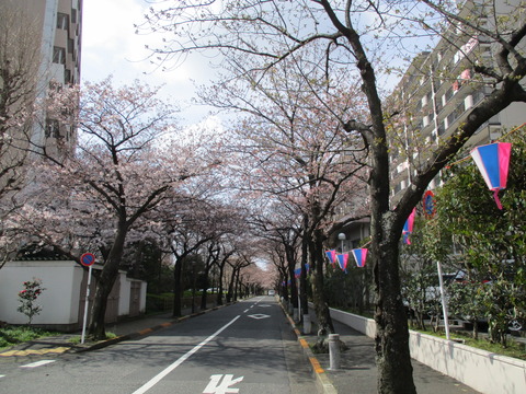 17船堀公園前の道1