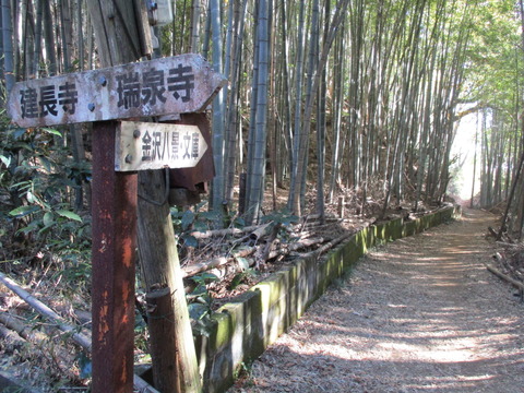 94六国峠ハイキングコース