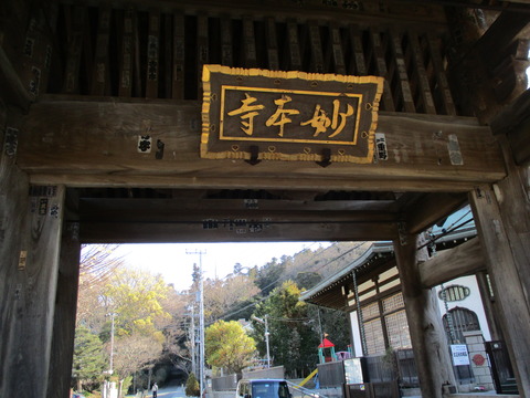 111妙本寺3