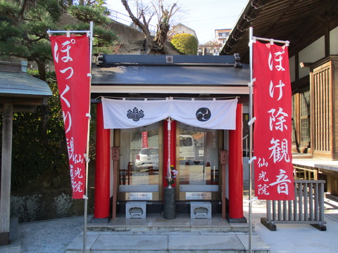 177仙光院7