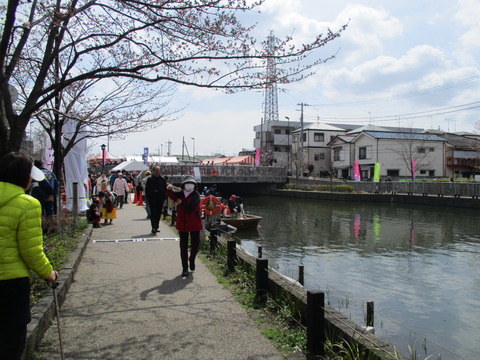 44新川千本桜17