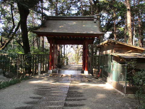 211赤門