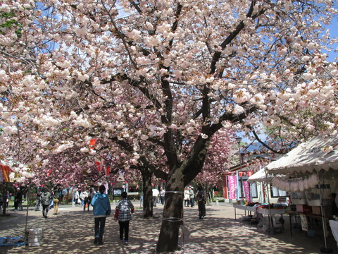 52-1天平の丘公園9-1