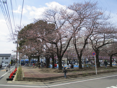 50宇喜田さくら公園1