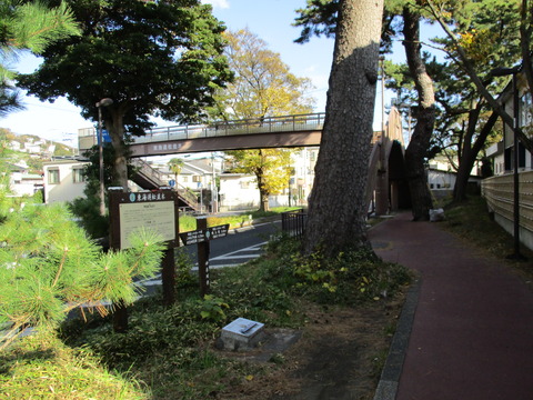 138改めて旧東海道松並木5