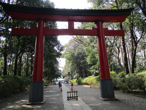 190大宮八幡宮5