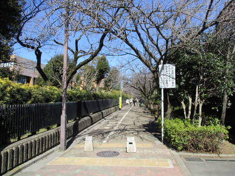72駒場野公園3