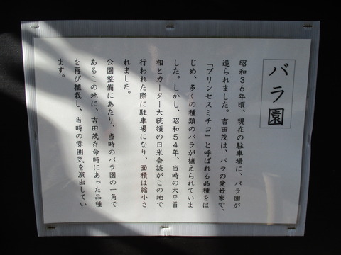 117バラ園3