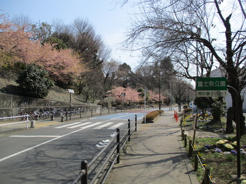 126富士見公園1