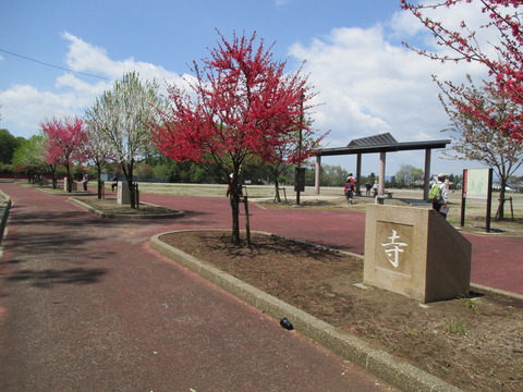 83下野国分寺跡1
