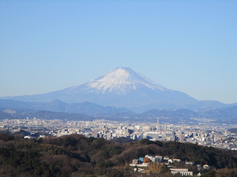 28勝上献7