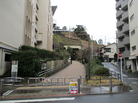 99東横フラワー緑道1