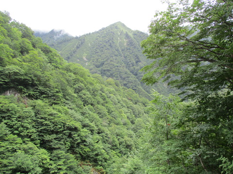 125ちょっと危険3