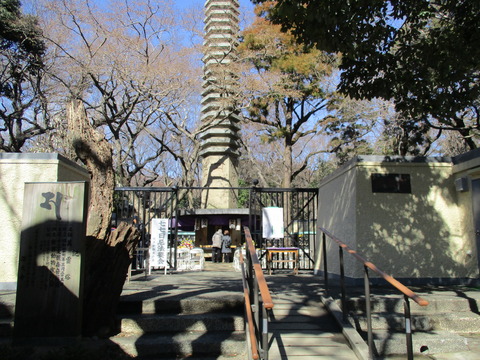 40動物霊園3