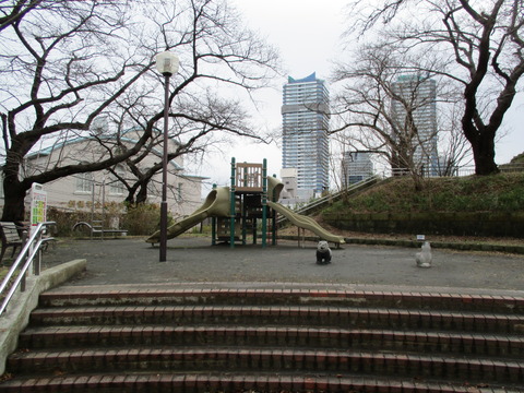 53幸ヶ谷公園4