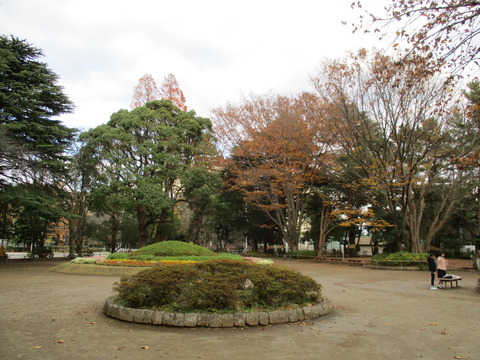 210松戸中央公園7