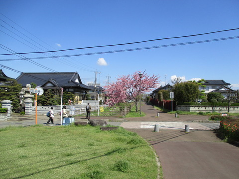13遊歩道1