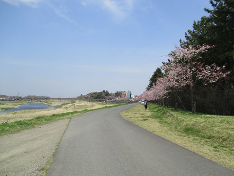 91思川1