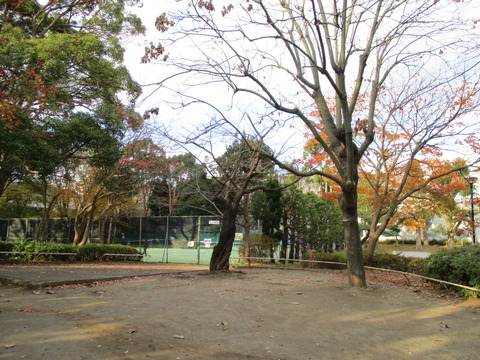 211松戸中央公園8