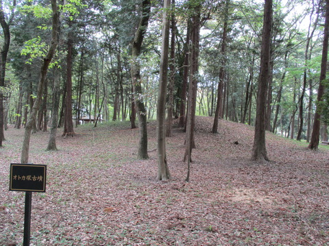 154オトカ塚古墳4