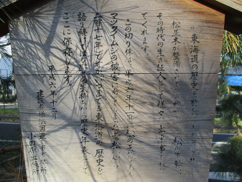 133切り株3