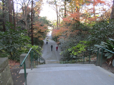 135広い参道1