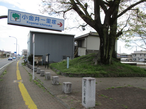 219小金井一里塚1