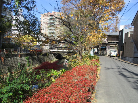 67坂川沿い