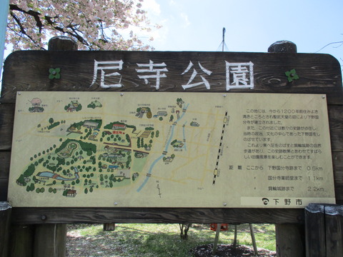 53天平の丘公園10