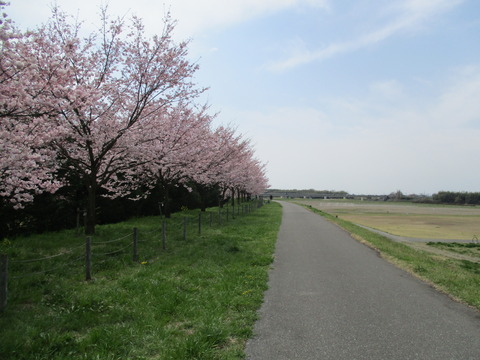 114小山総合公園9