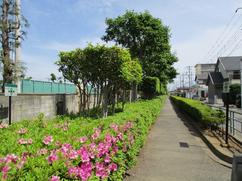 421.5km地点