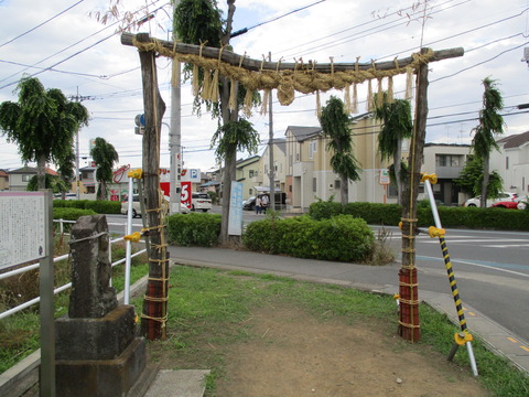248川の大じめ2