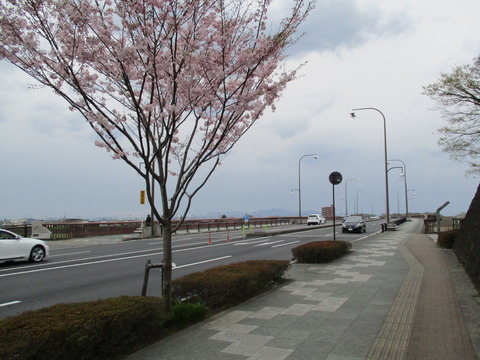 212再び観晃橋